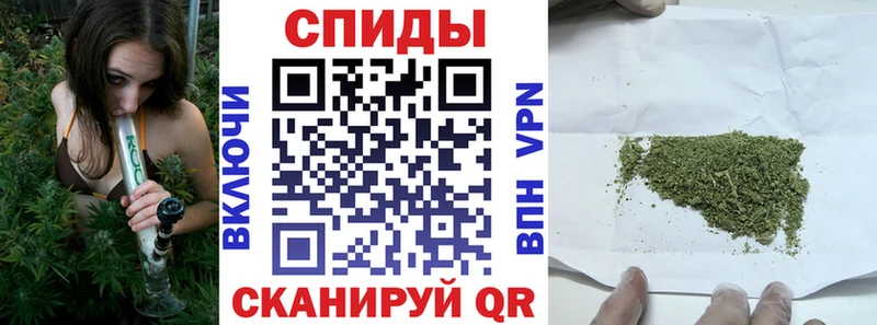 omg ссылка  продажа наркотиков  Приморск  Бутират бутандиол 