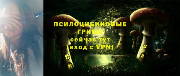 PSILOCYBIN Алзамай