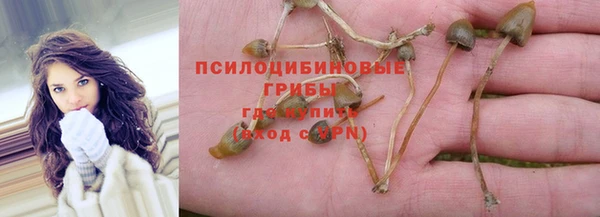 PSILOCYBIN Алзамай