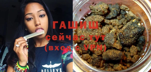 PSILOCYBIN Алзамай