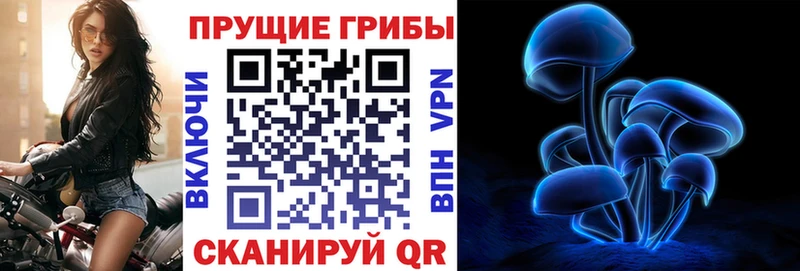 Псилоцибиновые грибы ЛСД  Приморск 